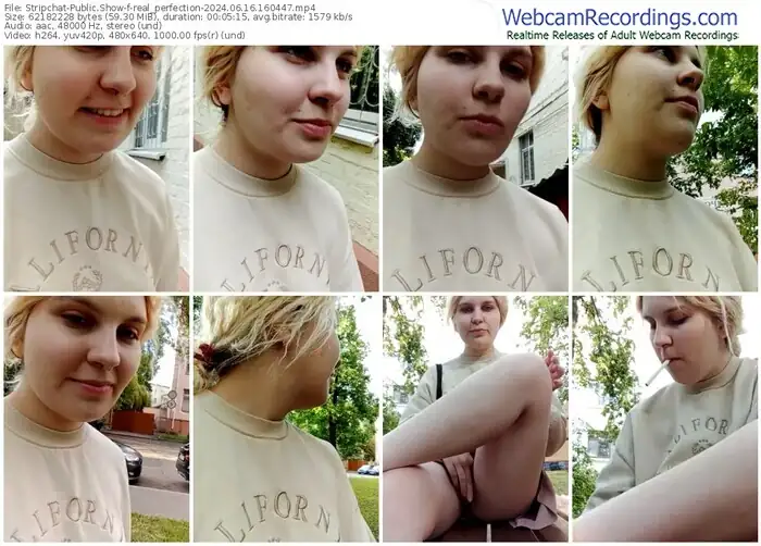 stripchat-real_perfection-06-16-2024-16-04-47