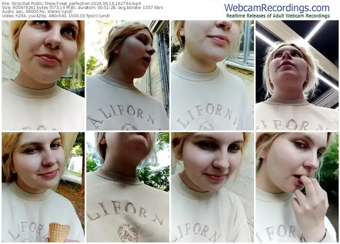 stripchat-real_perfection-06-16-2024-16-27-44