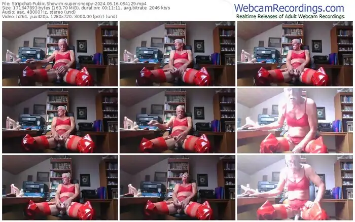 stripchat-super-snoopy-06-16-2024-09-41-29