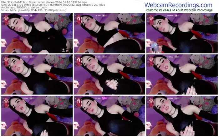 stripchat-normalanee-06-16-2024-08-34-24