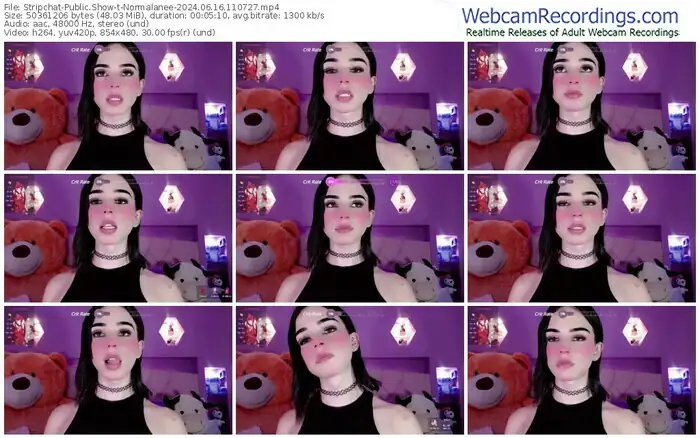 stripchat-normalanee-06-16-2024-11-07-27