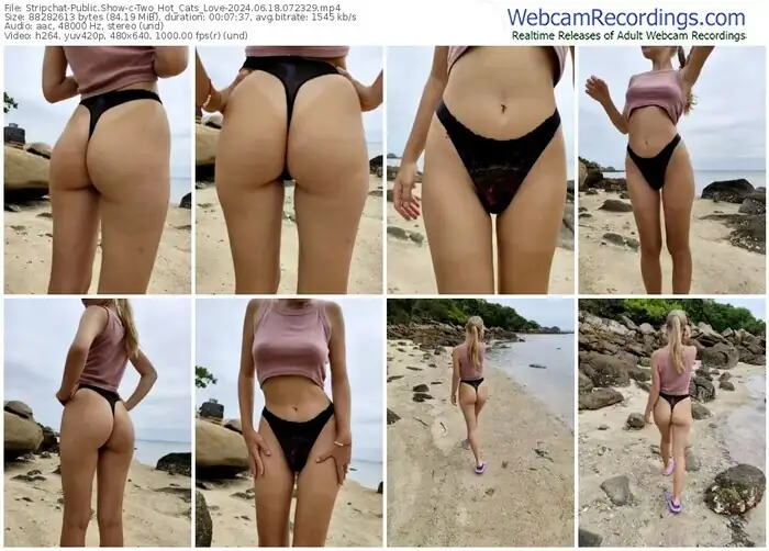 stripchat-two_hot_cats_love-06-18-2024-07-23-29