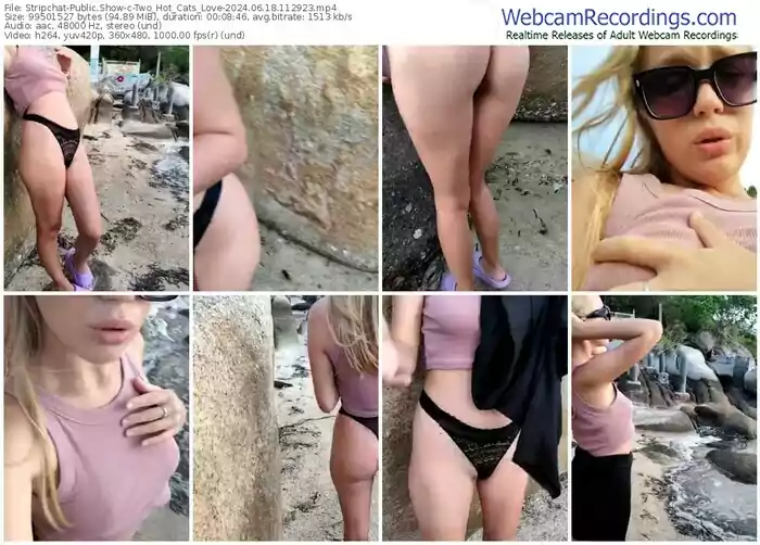 stripchat-two_hot_cats_love-06-18-2024-11-29-23