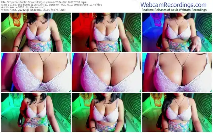 stripchat-falguniverma-06-18-2024-07-57-38