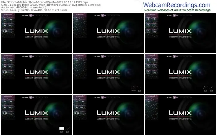 stripchat-scarlettquate-06-18-2024-17-43-45