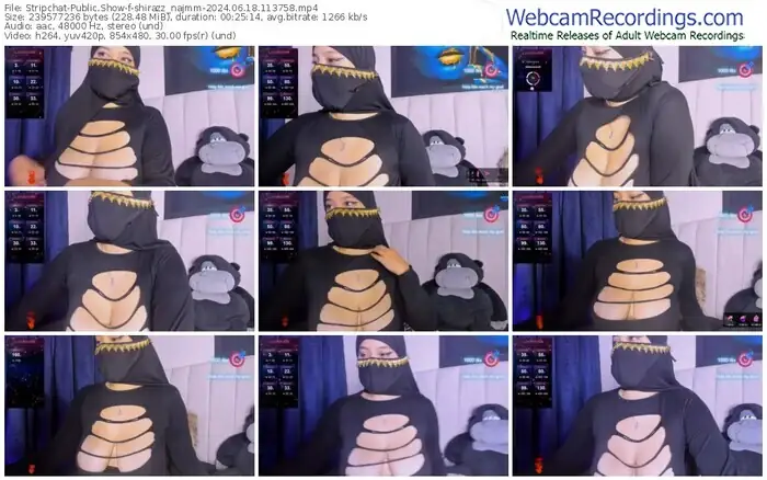 stripchat-shirazz_najmm-06-18-2024-11-37-58