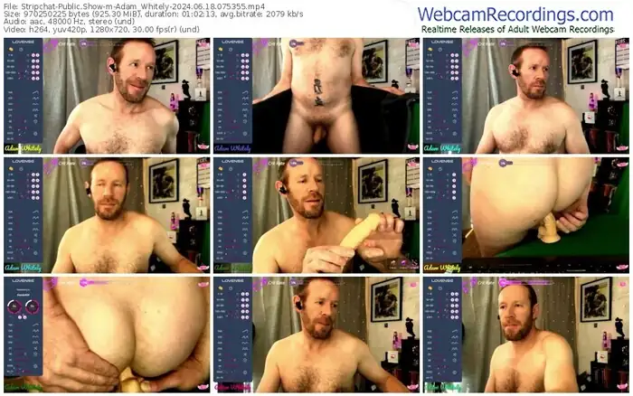 stripchat-adam_whitely-06-18-2024-07-53-55