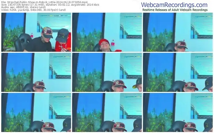 stripchat-robick_little-06-18-2024-07-30-56