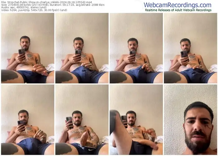 stripchat-charlye_inkkkk-06-18-2024-10-55-42