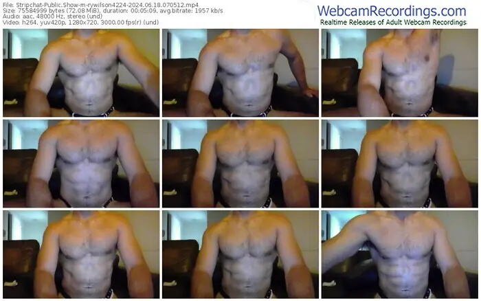 stripchat-rywilson4224-06-18-2024-07-05-12
