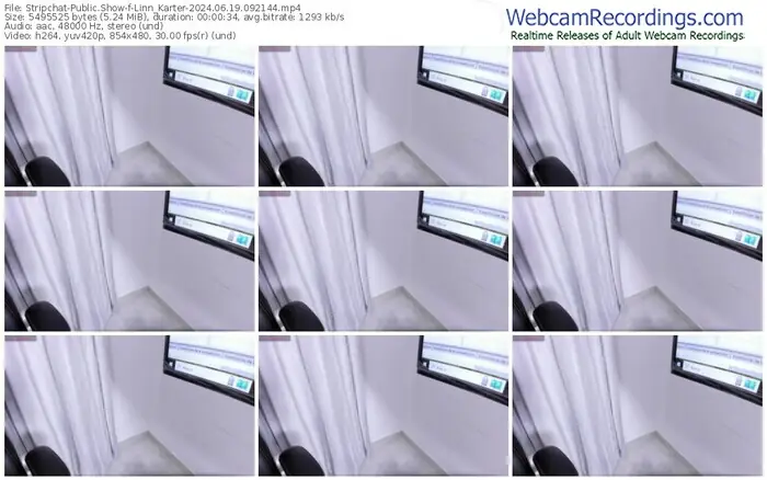 stripchat-linn_karter-06-19-2024-09-21-44
