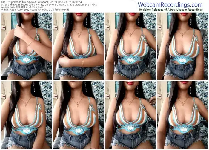 stripchat-parinaaz18-06-19-2024-03-28-02