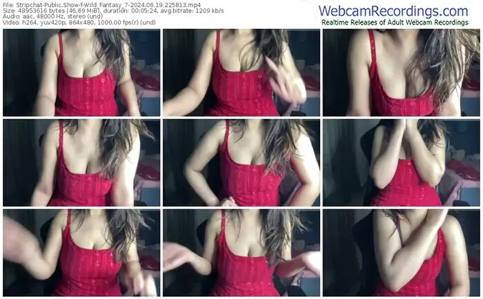 stripchat-wild_fantasy_7-06-19-2024-22-58-13