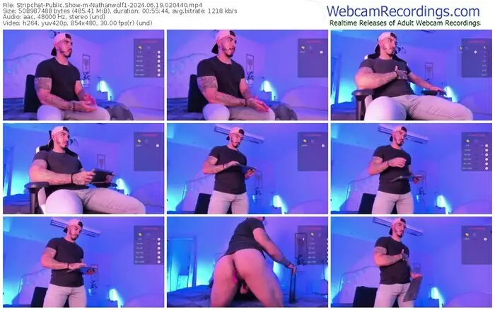 stripchat-nathanwolf1-06-19-2024-02-04-40