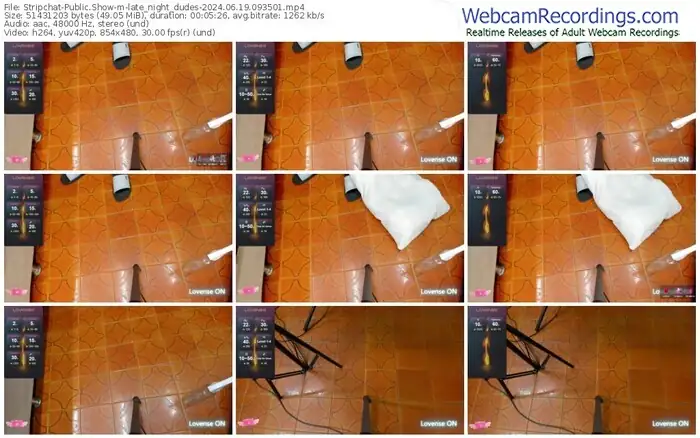 stripchat-late_night_dudes-06-19-2024-09-35-01