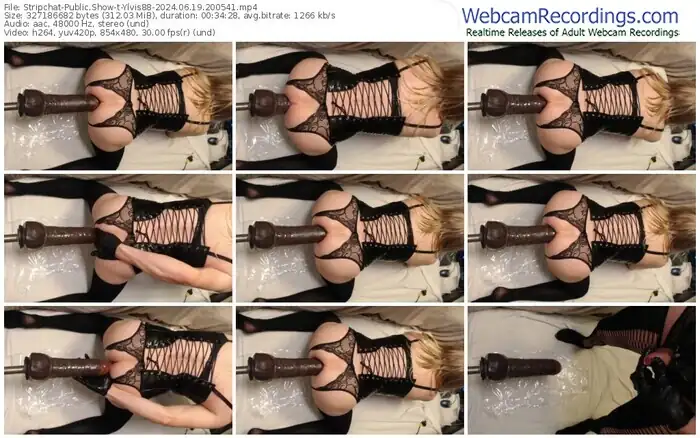 stripchat-ylvis88-06-19-2024-20-05-41