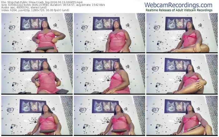stripchat-lady_big-06-19-2024-00-04-55