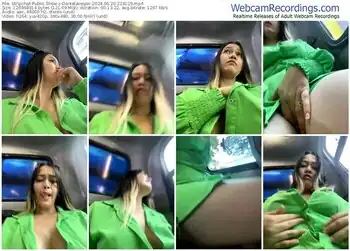 stripchat-danielavegax-06-20-2024-22-41-29