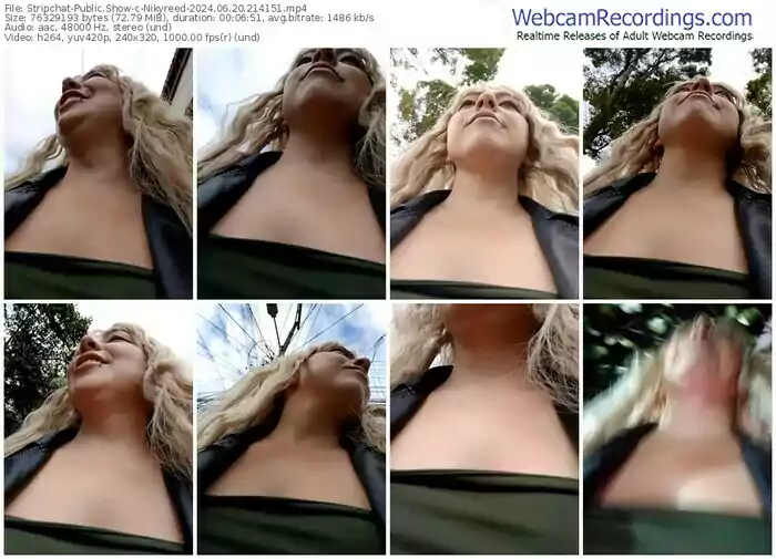 stripchat-nikyreed-06-20-2024-21-41-51