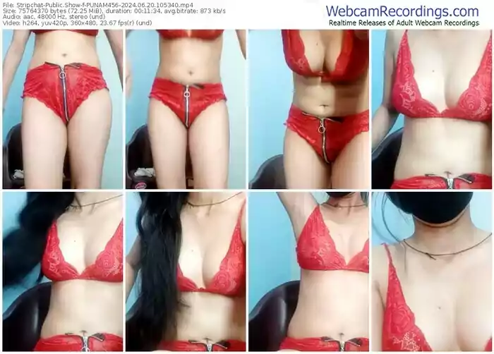 stripchat-punam456-06-20-2024-10-53-40