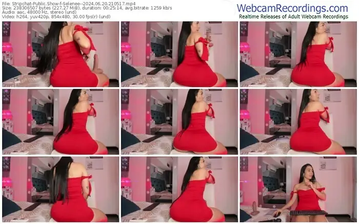 stripchat-selenee--06-20-2024-21-05-17