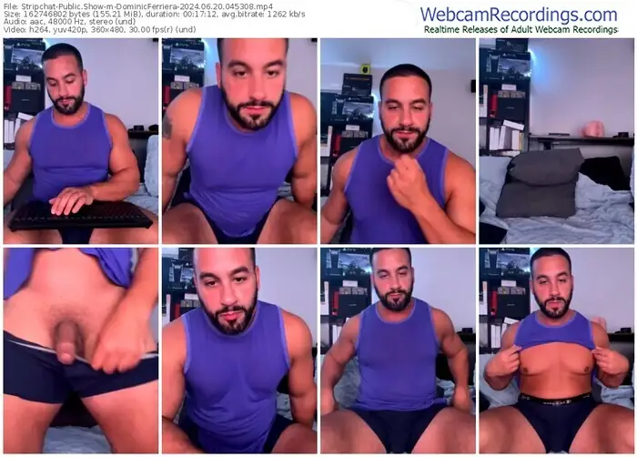 stripchat-dominicferriera-06-20-2024-04-53-08