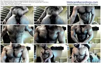 stripchat-hugealphabeast-06-20-2024-02-52-46