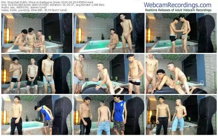 stripchat-badguyss_bisex-06-20-2024-04-58-54
