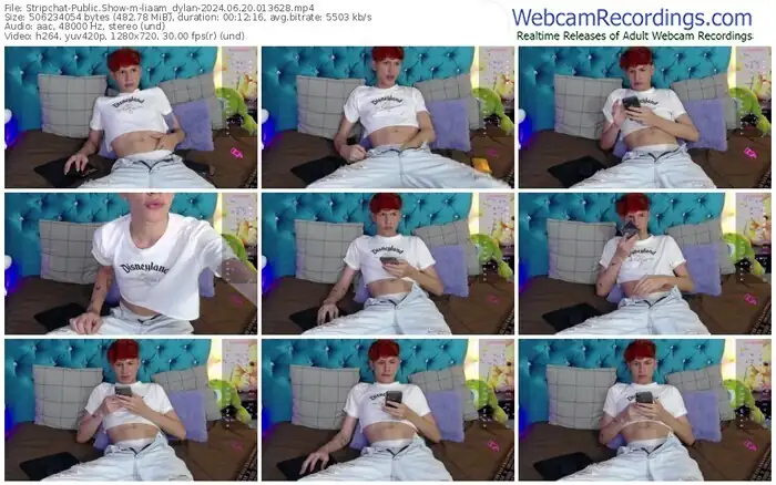 stripchat-liaam_dylan-06-20-2024-01-36-28