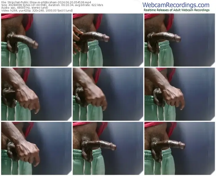 stripchat-phbbcsham-06-20-2024-05-45-38