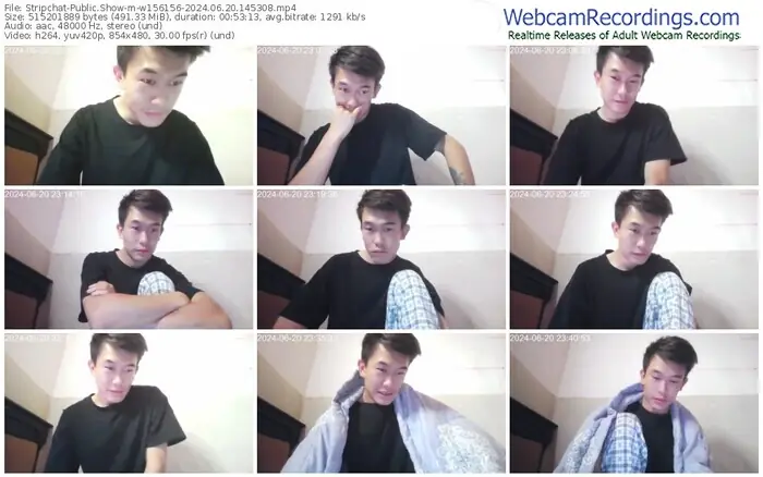 stripchat-w156156-06-20-2024-14-53-08