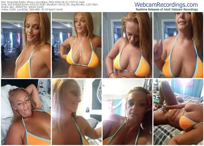 stripchat-dixiefaye_pika-06-21-2024-15-37-21