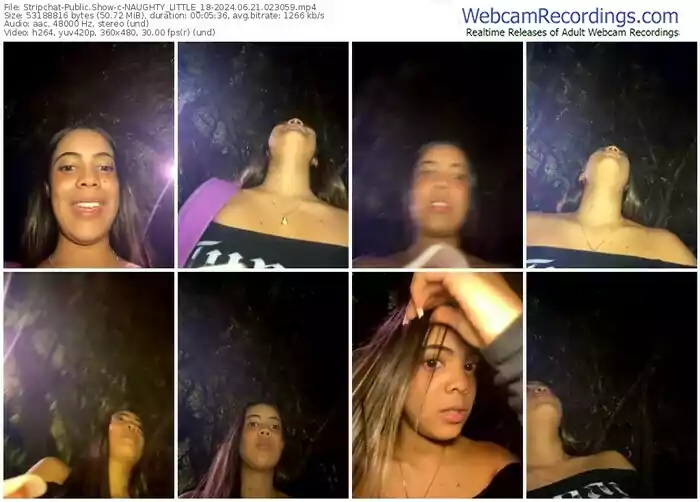 stripchat-naughty_little_18-06-21-2024-02-30-59