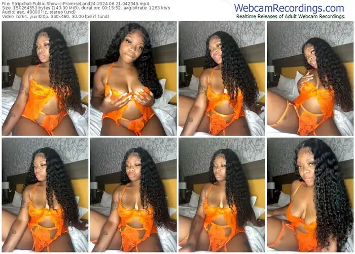 stripchat-promiseland24-06-21-2024-04-23-46