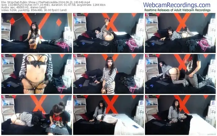 stripchat-thepoeticedda-06-21-2024-18-16-49