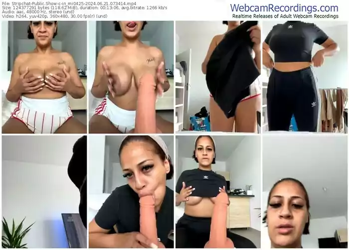 stripchat-in_mi0425-06-21-2024-07-34-14