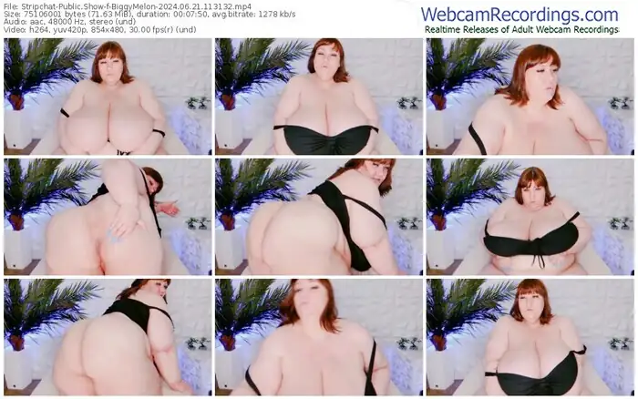 stripchat-biggymelon-06-21-2024-11-31-32