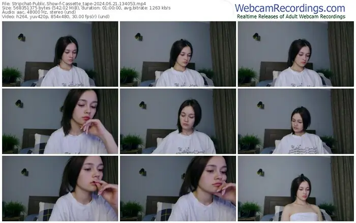 stripchat-cassette_tape-06-21-2024-13-40-53
