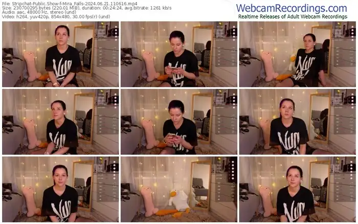 stripchat-mira_falls-06-21-2024-11-06-16