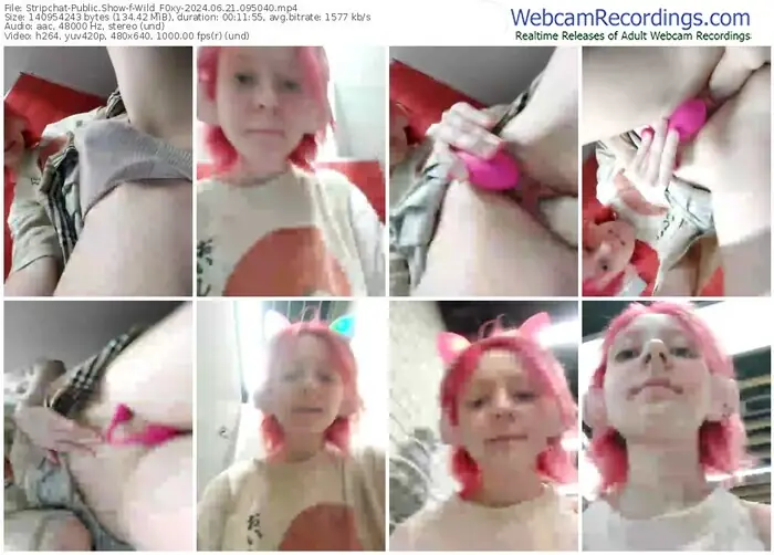 stripchat-wild_f0xy-06-21-2024-09-50-40