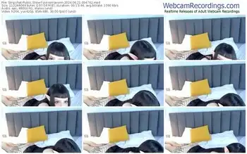 stripchat-poisonravenn-06-21-2024-09-47-42