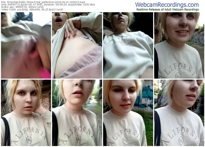 stripchat-real_perfection-06-21-2024-18-30-22