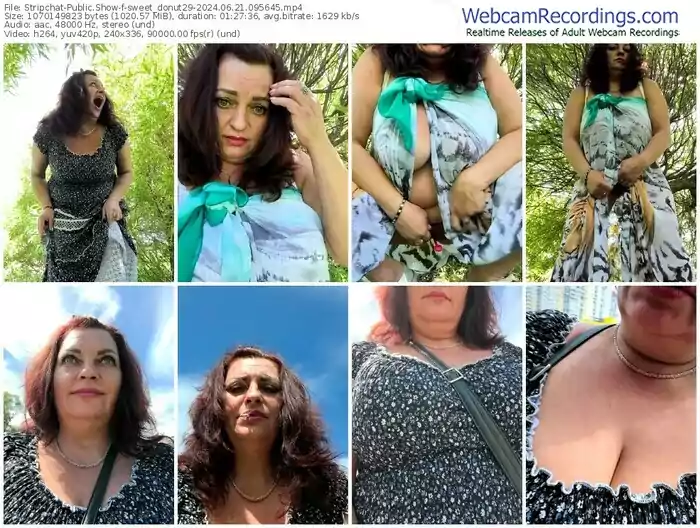 stripchat-sweet_donut29-06-21-2024-09-56-45