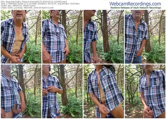 stripchat-kswood123-06-21-2024-16-20-50