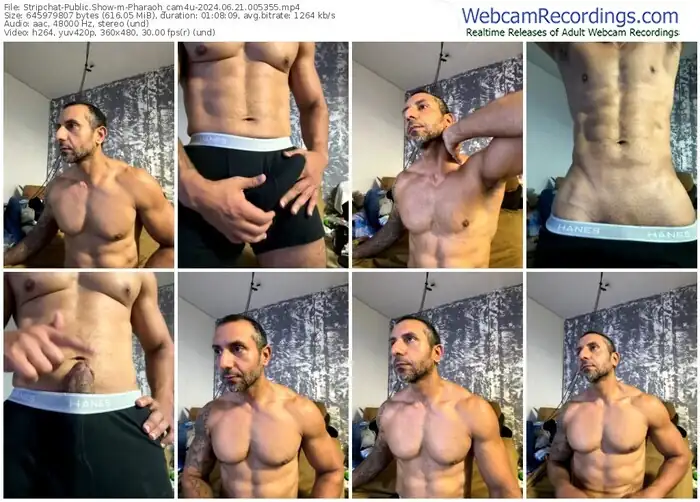 stripchat-pharaoh_cam4u-06-21-2024-00-53-55