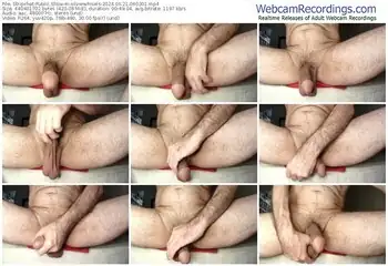 stripchat-silverwhisels-06-21-2024-06-03-01