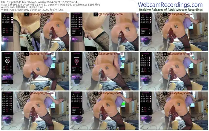 stripchat-lasofia-06-21-2024-10-03-57