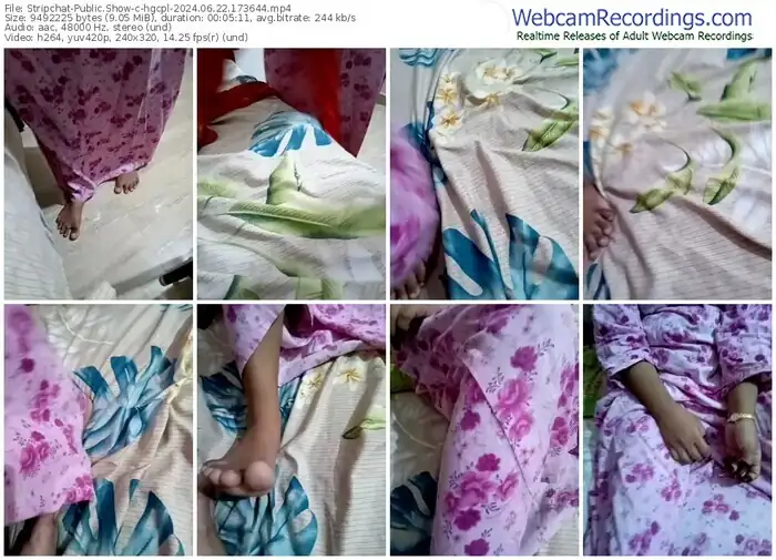 stripchat-hgcpl-06-22-2024-17-36-44