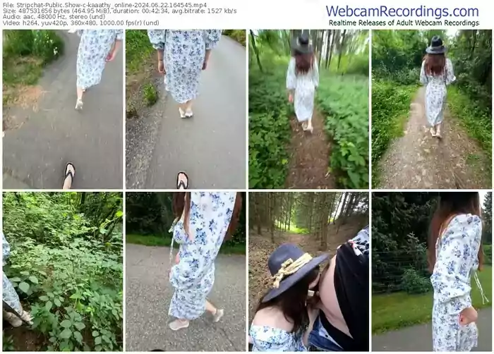 stripchat-kaaathy_online-06-22-2024-16-45-45