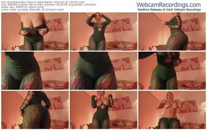 stripchat--sofiacastillo--06-22-2024-16-47-01